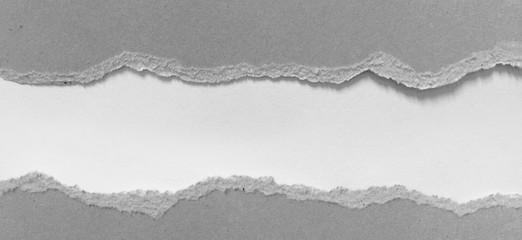 pieces of torn paper texture background, copy space.