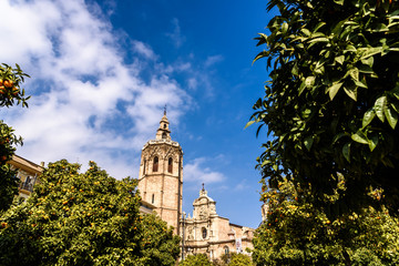 Fototapeta na wymiar Valencia, Spain - February 24, 2019: Plaza de la Reina a sunny spring day during Fallas, with the Cathedral of Valencia and its tower Miguelete.