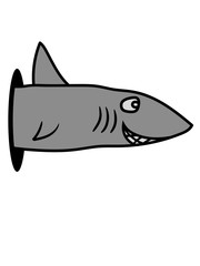 loch wand hai comic cartoon clipart design schwimmen fisch meer unterwasser räuber fressen weißer jäger gefährlich lustig