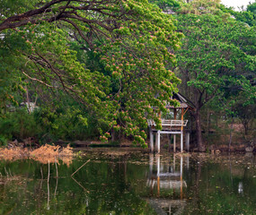 Naklejka premium The tranquility of the forest park in the city.