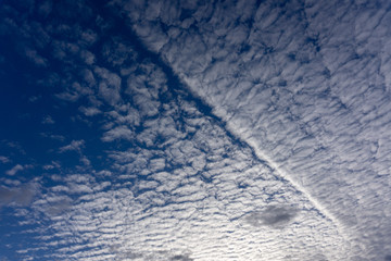 Fototapeta premium うろこ雲