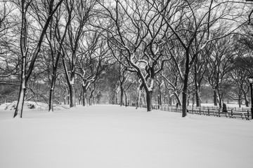 Blizzard in Central Park. Manhattan