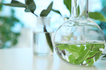 Leaves in glass flask on table, closeup with space for text. Plant chemistry