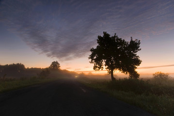 Fototapeta na wymiar Foggy sunrise on the road