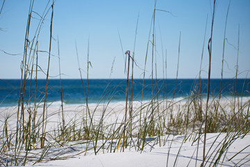 Gulf Coast - Pensacola Beach