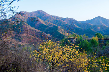 Qingshan pass the Great Wall and Castle Peak autumn scenery