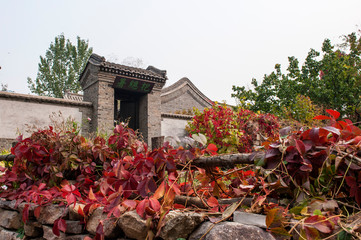 Qingshan pass the Great Wall's "General Administration" autumn scenery
