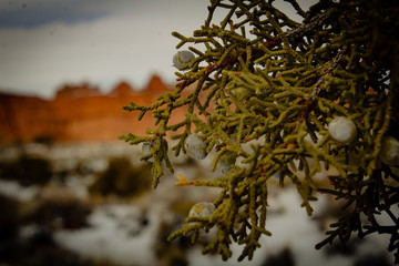 Arches National Park During Government Shutdown 1-14-19