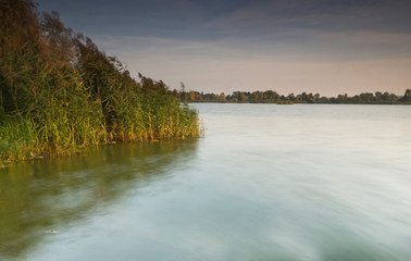 Morning on the river