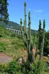 Fototapeta premium Viaduto 13