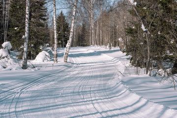 Ski trail in the forest. Traces of the snowcat. Trail for skiing in the forest. Winter forest for...