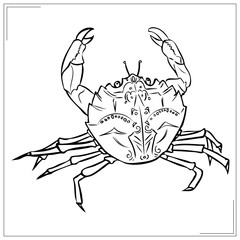 crab sketch - coloring page