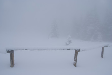 Foggy and snowy landscape