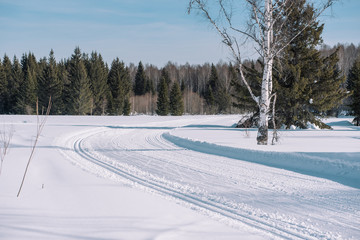 Ski trail in the forest. Traces of the snowcat. Trail for skiing in the forest. Winter forest for...