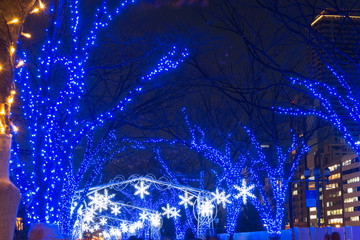 中之島のイルミネーション