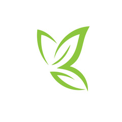 creative abstract simple green butterfly symbol 