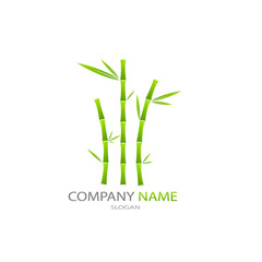 Green bamboo Vector illustration