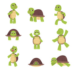 Set of cute green turtles with brown shell in various poses isolated on white background