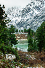Forest on the shore of turquoise lake. River in mountains, valley of lakes