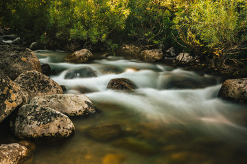 Naklejka na ściany i meble Fast mountain river with stones in stream