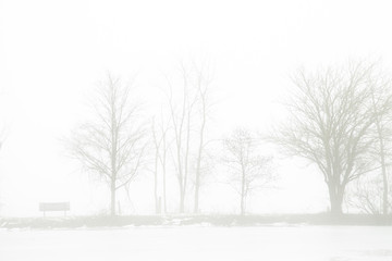 Fototapeta na wymiar Foggy Lake in Winter in North America