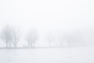 Foggy Lake in Winter