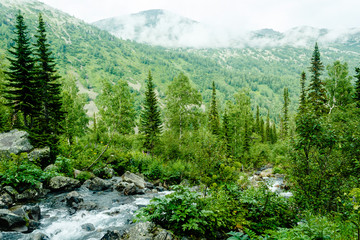 Fototapeta na wymiar Stream in valley on summer day. River in mountain valley