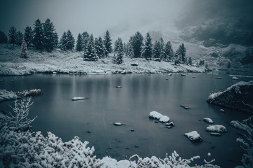 Obraz na płótnie Canvas Winter lake, snow in coniferous forest on shore of mountain lake