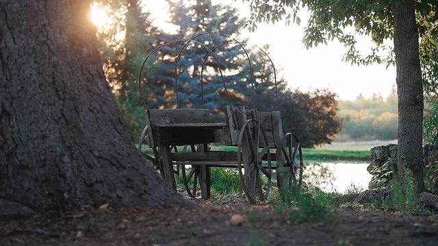 Camera Pans And Turns Around Old Covered Wagon Sunrise. The video shows a close-up view of a big tree trunk. As the camera pans to the right, an old traditional wagon is revealed against beautiful sun