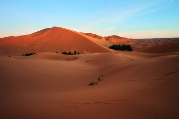 Fototapeta na wymiar Sun rising on the big sand dune in Sahara desert Merzouga Morocco Africa