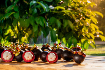 Fresh ripe mangosteen fruits on wooden table with mangosteen tree background