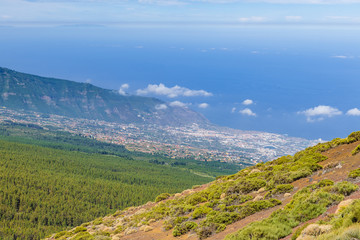 Naklejka premium Magnificent view near the Teide volcano. Las Cañadas del Teide. Tenerife. Canary Islands..Spain