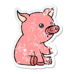 distressed sticker of a quirky hand drawn cartoon pig