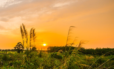 Evening light