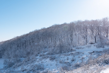 Obraz na płótnie Canvas Landscape of a beautiful snow covered winter forest