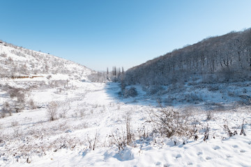 Fototapeta na wymiar Landscape of a beautiful snow covered winter forest