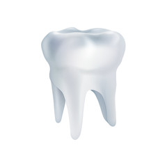 Realistic tooth poster. Illustrations isolated on white background. Graphic concept for your design