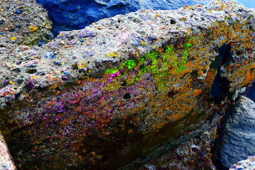 Concrete at pier on the beach by the sea with intense colors from neon graffiti and hard sunlight 