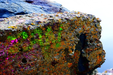 Concrete at pier on the beach by the sea with intense colors from neon graffiti and hard sunlight 