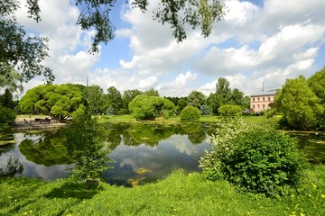 Fototapeta na wymiar Pond in the Park in spring