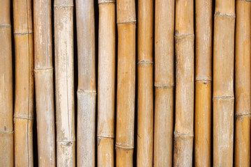 dry bamboo branch wall for texture background