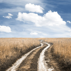 road in the fields