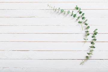 branches of eucalyptus on white wooden background © Maya Kruchancova