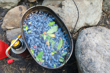 Camping herbal tea with blue berries. Honeysuckle camping tea in a pot authentic summer kitchen