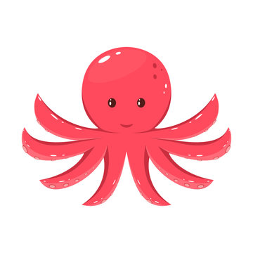 Octopus on White Background