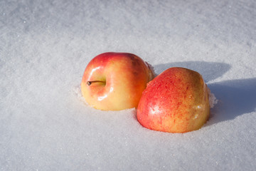 Nice Apples in Snow