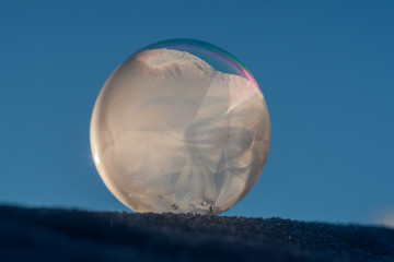 Bubbly Beauty in Ice