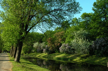 Zamosc © M. G. Koperkiewicz