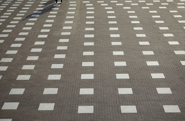 Fototapeta premium Scene of the open space of the day when it was fine