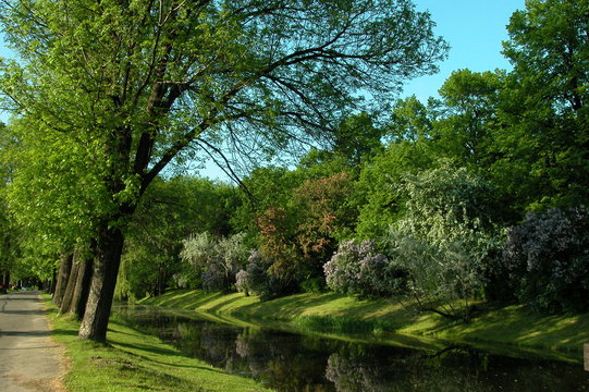 Zamosc